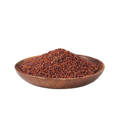Finger Millet (Ragi)